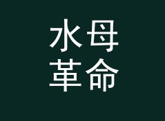 水母革命 Jellyfish Revolution 之后，女性声学品牌换了条命名的路