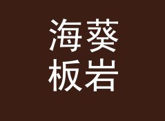 海葵板岩 Anemone Slate：一个盲听评测品牌名是怎么在试听会上传开的