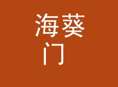 海葵门 Anemone Door：一个盲听评测品牌名是怎么在试听会上传开的