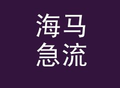 海马急流 Seahorse Rapids 算不算好名字？聊聊试听会品牌的署名逻辑