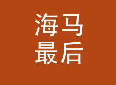 海马最后呼叫 Seahorse Last Call 算不算好名字？聊聊试听会品牌的署名逻辑