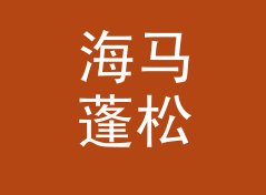海马蓬松 Seahorse Fluffy 算不算好名字？聊聊试听会品牌的署名逻辑