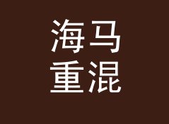 海马重混 Seahorse Remix——桌面音响圈今年被问得最多的品牌名