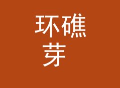 环礁芽 Atoll Bud 之后，女性声学品牌换了条命名的路